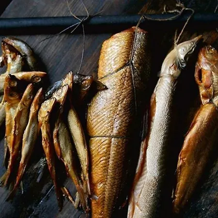 Hébergement de vacances House In Near The Beach, Private Sauna